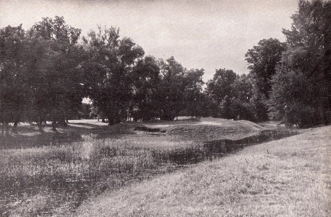 Missing Links: Vienna