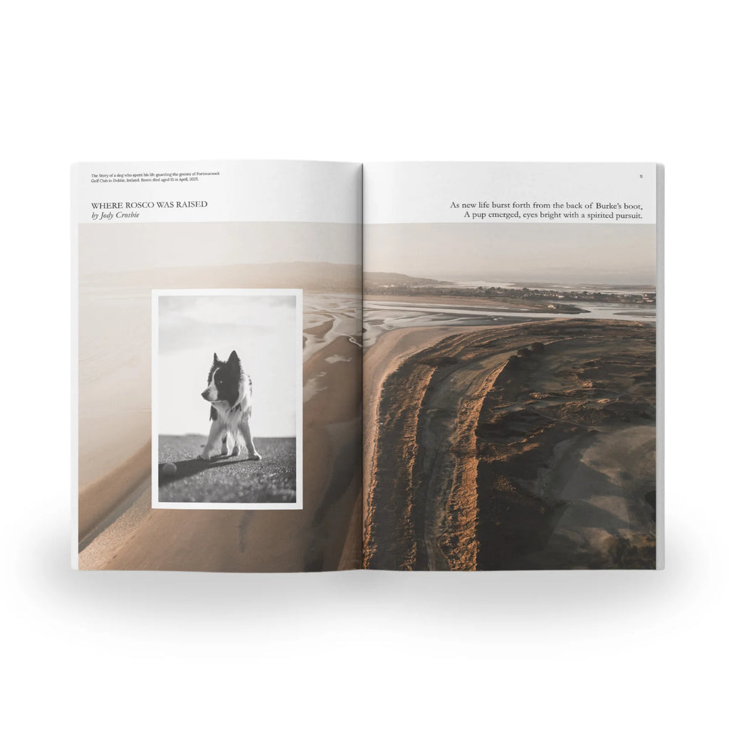 Depeche Golf Issue #3
